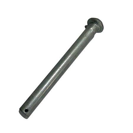 PINO - 033