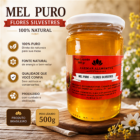 Mel Puro 100% Natural sem Conservantes - 500 gr