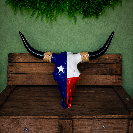 Crânio Decorativo Bandeira Texas
