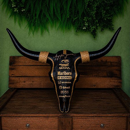 Crânio Decorativo Tema Senna