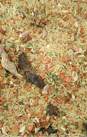 ARROZ COM FUNGHI