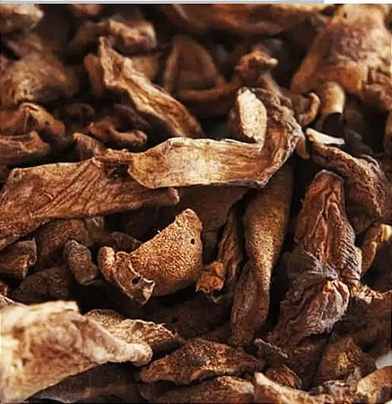 COGUMELO FUNGHI SECCHI