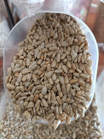 SEMENTE DE GIRASSOL CRUA SEM PELE