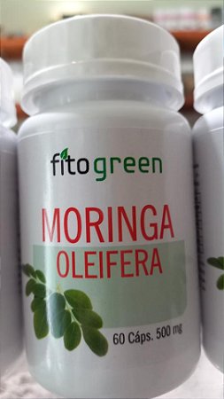 MORINGA OLEIFERA 60 CÁPSULAS