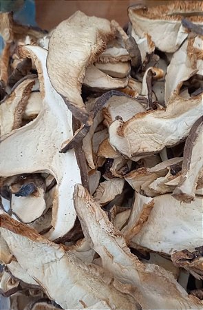 COGUMELO SHITAKE DESIDRATADO