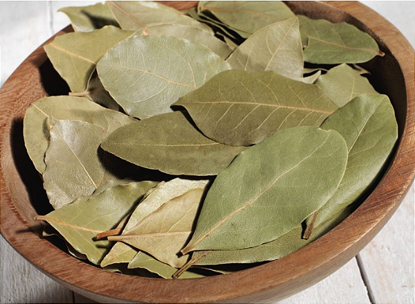 FOLHAS LOURO DESIDRATADO