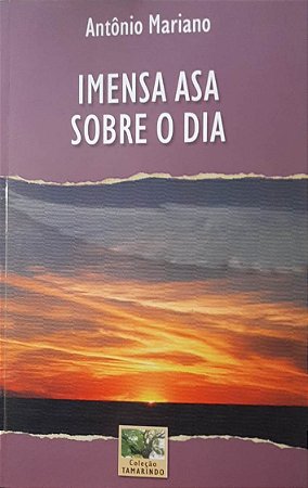 Imensa asa sobre o dia