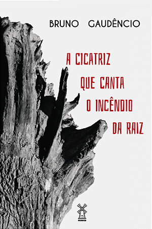 A cicacriz que canta o incêndio da raiz