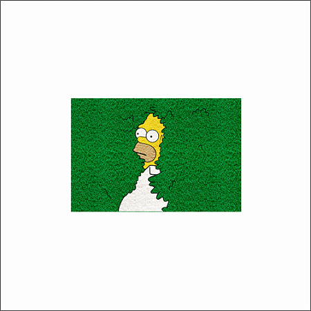 CAPACHO HOMER SIMPSON