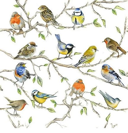 GUARDANAPO DE PAPEL BIRDS MEETING