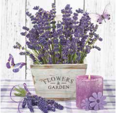 GUARDANAPO LAVENDER IN A WOODEN POT G2-004