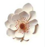 Aplique em MDF -APM8-1427 - Coleção Floral 3D Papoula Branca -