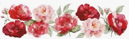 Transfer Têxtil TTB4L-001 - Barra Rosas