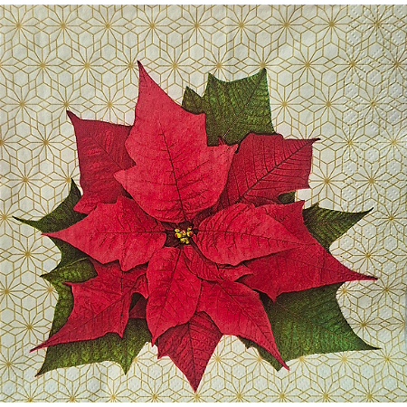 Guardanapo de Papel Chistmas Poinsettia on White Silhouette G3N-021