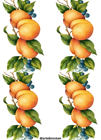 Hidro Transfer Decalque - Pessegos Grandes -