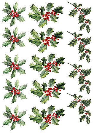Hidro Transfer Decalques - Azevinhos - Coleção Natal