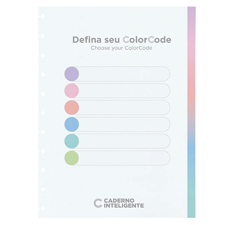 Refil Caderno Inteligente Grande Pautado Color Code 90gr