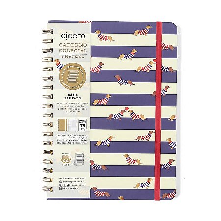 Caderno Colegial 1 Matéria 80fls Praia Cachorros Cicero