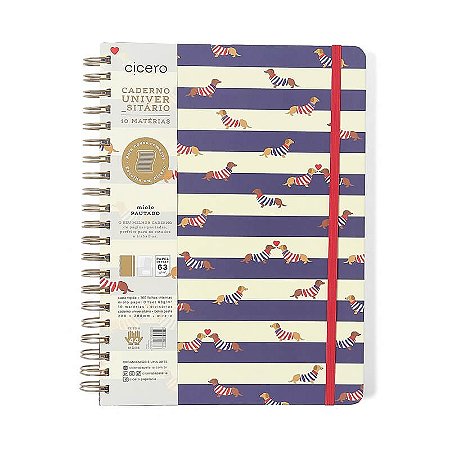 Caderno Universitario 10 Matérias 160fls Praia Cachorros Cicero