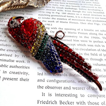 Broche Arara Colorida