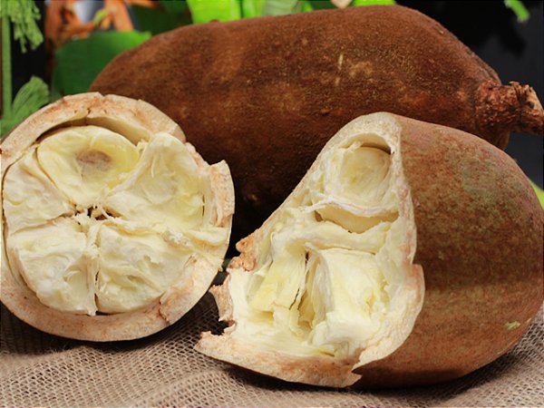 Polpa de Cupuaçu puro tesourado  - 1kg