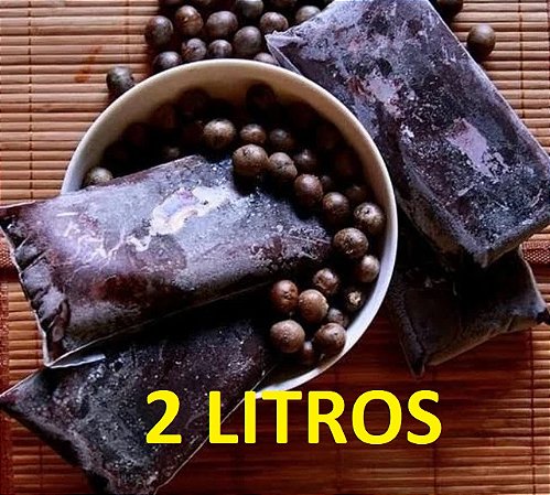 Açai Paraense Puro da Fruta - 2 Litros (CONGELADO)