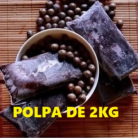 Açai Paraense Puro da Fruta - 2kg CONGELADO
