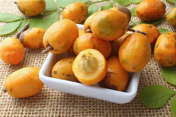 Polpa de Seriguela puro  - 1kg