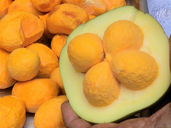 Pequi Paraense em caroço 200g