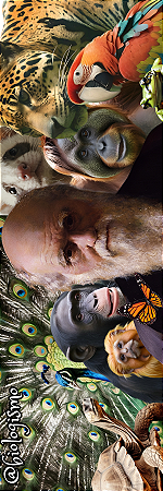 Marcador de página - Charles Darwin e animais