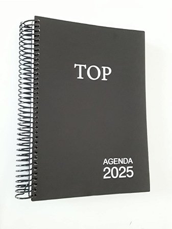 Agenda 2025 Executiva Espiral Diária - Top - Grande