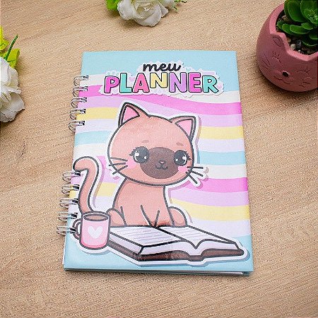 Planner Diário