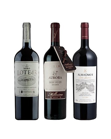 Kit Grandes Amigos 1,5L