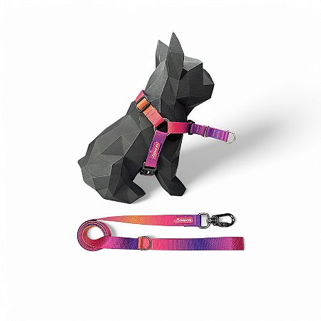 Kit Peitoral Y Antipuxão para cachorros com Guia Sunset