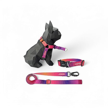 Kit Peitoral Y Antipuxão para cachorros com Coleira e Guia Sunset