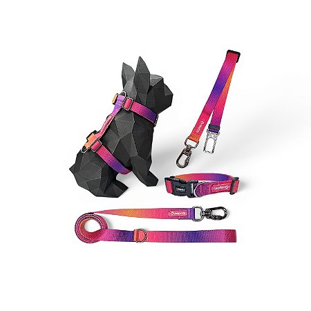 Kit 4 peças Passeio completo para cachorros Sunset