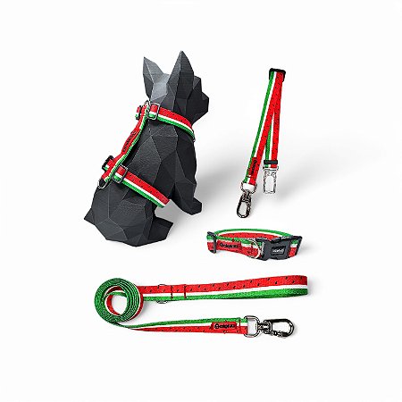 Kit 4 peças Passeio completo para cachorros Melancia