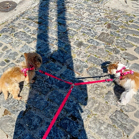 Guia Dupla para cachorros Neon Rosa
