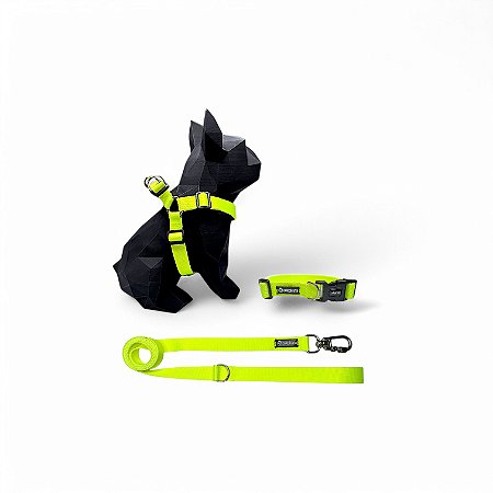 Kit Peitoral Americano para cachorros com Coleira e Guia Neon Amarelo