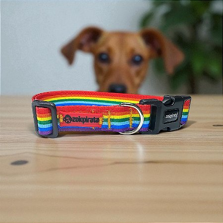 Coleira para cachorros Arco-íris