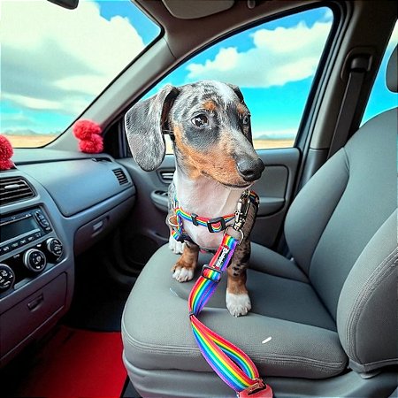 Cinto de Segurança para cachorros Arco-íris