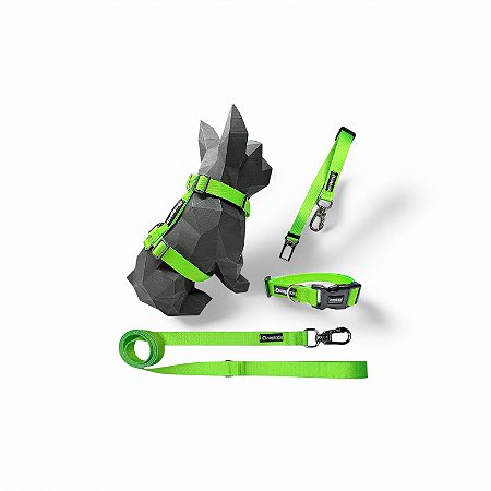 Kit 4 peças Passeio completo para cachorros Neon Verde