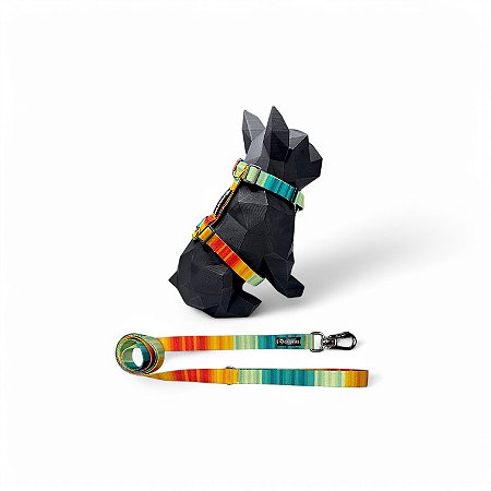 Kit Peitoral H antipuxão para cachorros com Guia Jacuí
