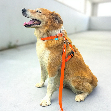 Kit Peitoral H antipuxão para cachorros com Guia Neon Laranja