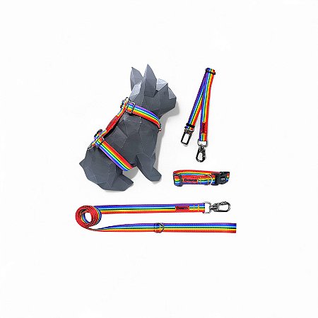 Kit 4 peças Passeio completo para cachorros Arco-íris
