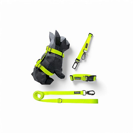 Kit 4 peças Passeio completo para cachorros Neon Amarelo