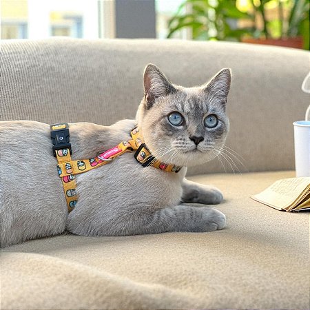 Peitoral para Gatos ou Cães Raça Mini com Guia Ronromelo