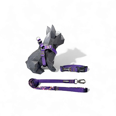 Kit Peitoral Americano para cachorros com Coleira e Guia Roxo