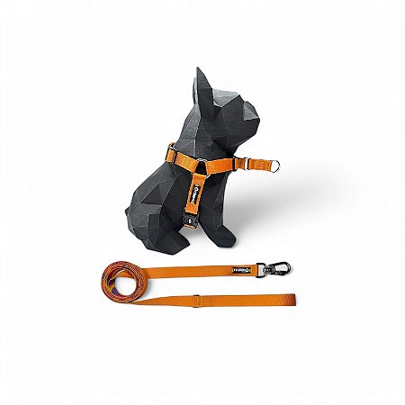 Kit Peitoral Y Antipuxão para cachorros com Guia Gold