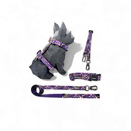 Kit 4 peças Passeio completo para cachorros OVNI